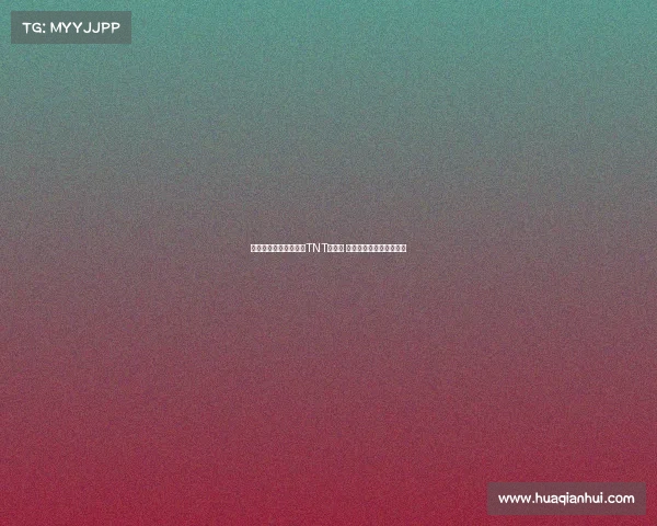 贝尔接替费迪南德担任TNT解说员 主播下赛季英超欧冠赛事